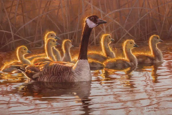 Golden Hour Animals: First Light by Mark McKenna