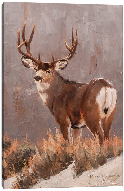 Miley Ridge Canvas Art Print - Deer Art