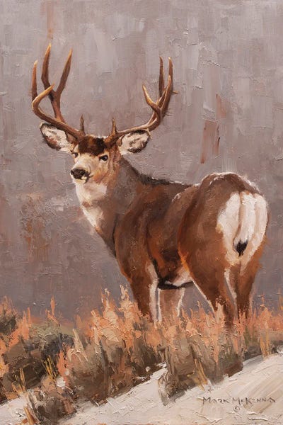 Deer: Miley Ridge by Mark McKenna