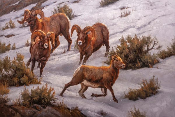 Grasses: Giving Chase by Mark McKenna