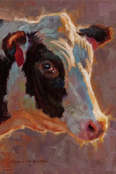 Golden Hour Animals: Holstein by Mark McKenna