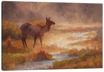 Morning Haze Canvas Art Print - Marsh & Swamp Art