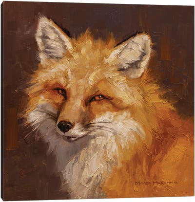 Old Sly Canvas Art Print - Fox Art