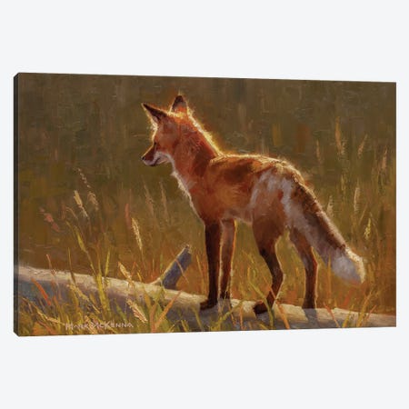 Posed To Pounce Canvas Print #MKM86} by Mark McKenna Canvas Print