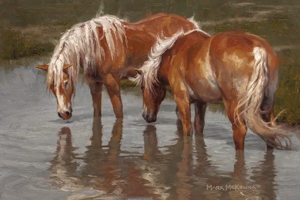 Western Décor: Summer's Reprieve by Mark McKenna