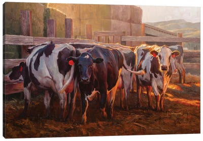 The Buttercream Gang Canvas Art Print - Cow Art