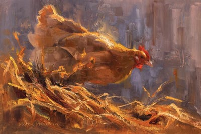 Hen's Haven by Mark McKenna canvas print