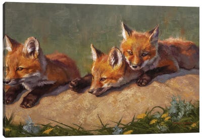Three's Company Canvas Art Print - Mark McKenna