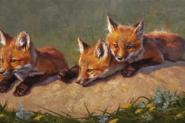 Golden Hour Animals: Three's Company by Mark McKenna