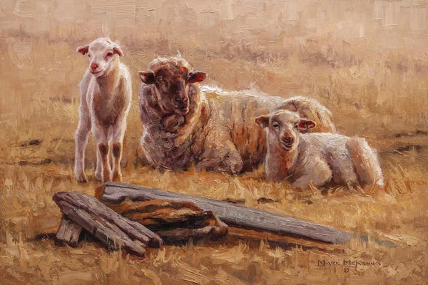 Golden Hour Animals: Untroubled by Mark McKenna