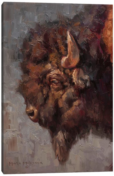 Tough Stuff Canvas Art Print - Bison & Buffalo Art