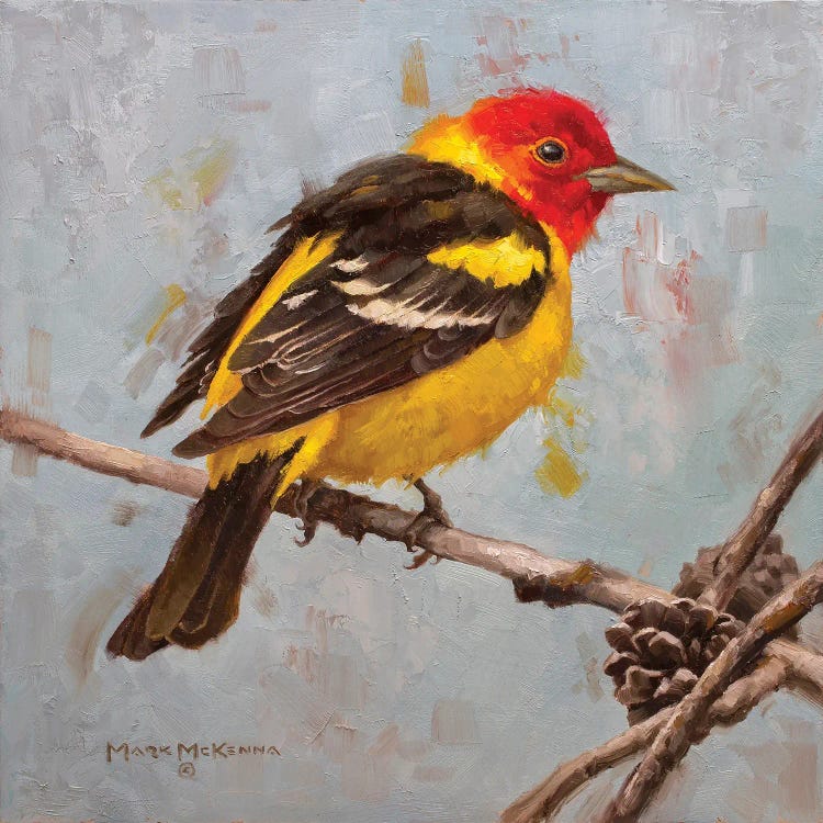 Western Tanager by Mark McKenna wall art
