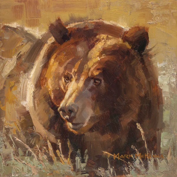 Brown Bears: Grizz by Mark McKenna