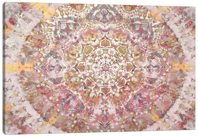 Tapestry Dream II Canvas Art Print