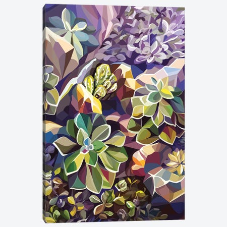 Succulents Canvas Print #MKU11} by Margo Ku Canvas Print