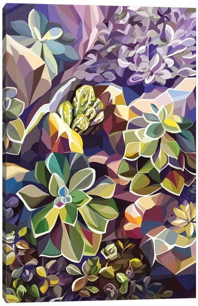 Succulents Canvas Art Print - Margo Ku
