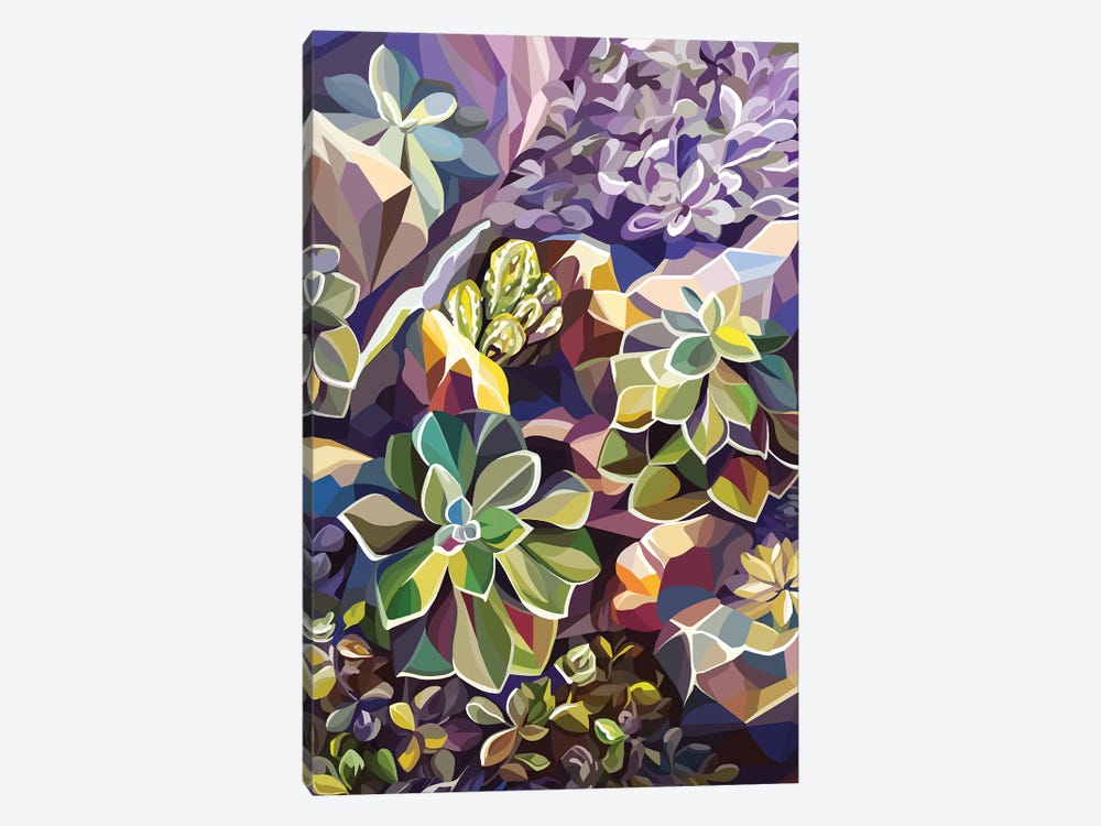 Succulents by Margo Ku 1-piece Art Print