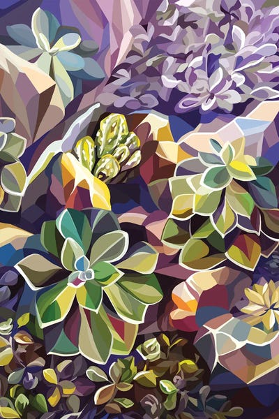 Nature Close-Ups: Succulents by Margo Ku