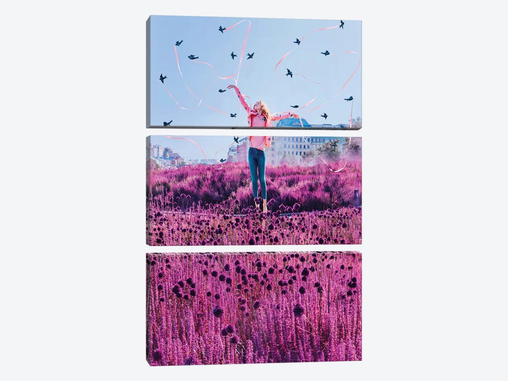 Swallows by Hobopeeba 3-piece Art Print