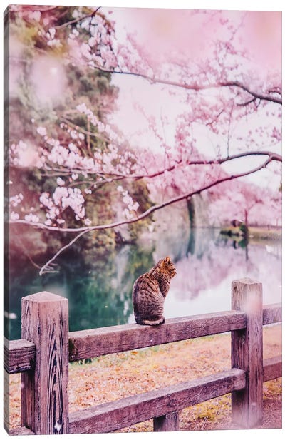 Tender And Pink Canvas Art Print - Blossom Art
