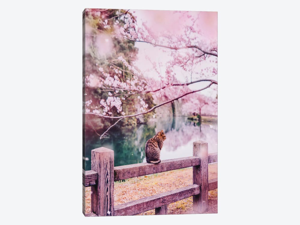 Tender And Pink by Hobopeeba 1-piece Canvas Wall Art