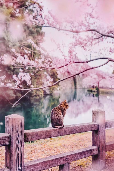 Tender And Pink