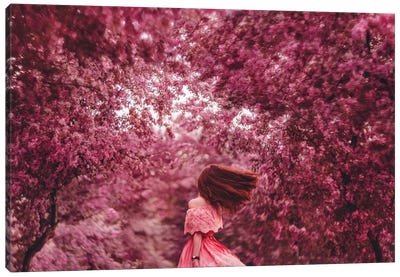 The Blossom Is Everywhere Canvas Art Print - Monochromatic Photography