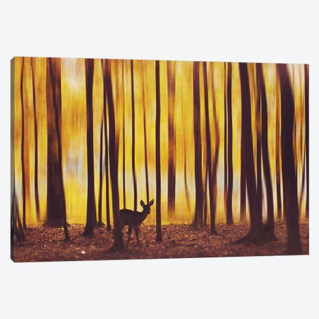 The Deer In The Fog Canvas Print #MKV107} by Hobopeeba Canvas Art Print