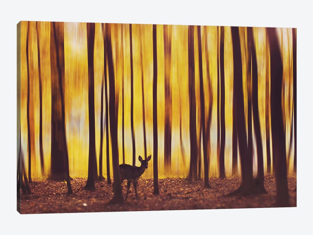 The Deer In The Fog by Hobopeeba 1-piece Canvas Artwork