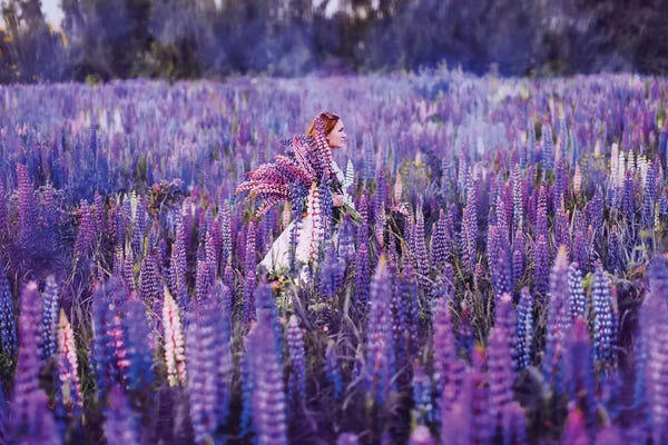 Figurative Photography: The Girl In Lupin Fields by Hobopeeba
