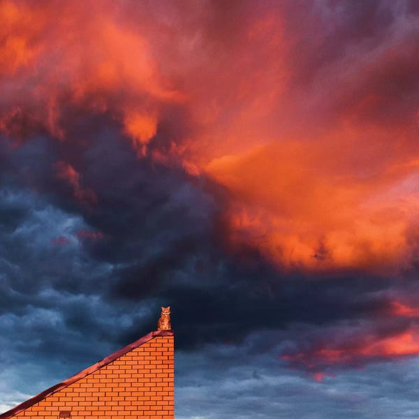 Cloudy Sunsets: The Totoro Cat by Hobopeeba