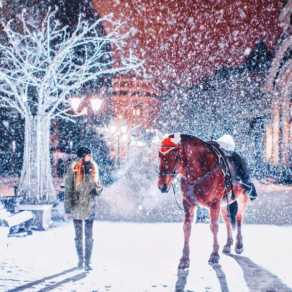 Hobopeeba: Winter Passerby by Hobopeeba