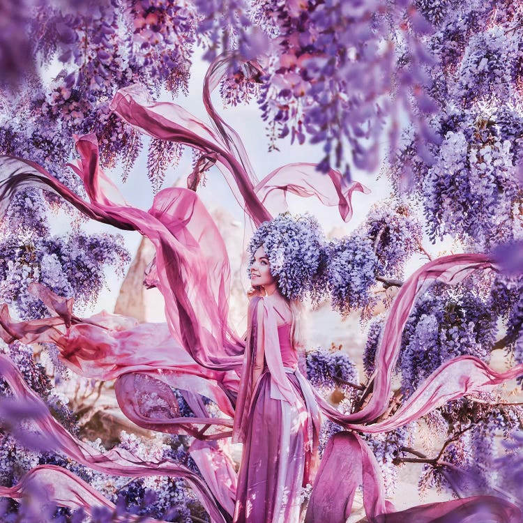 Wisteria Hysteria by Hobopeeba wall art