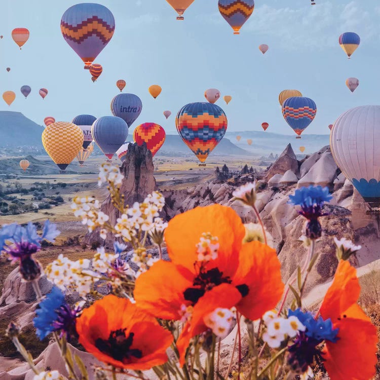 Flowers And Balloons