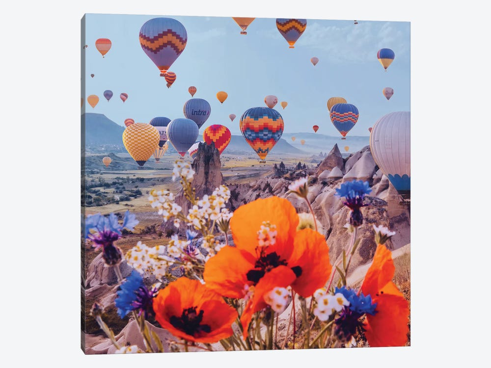 Flowers And Balloons by Hobopeeba 1-piece Canvas Art Print
