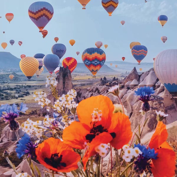 Hobopeeba: Flowers And Balloons by Hobopeeba