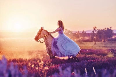 Ideal Ideality by Hobopeeba acrylic art print