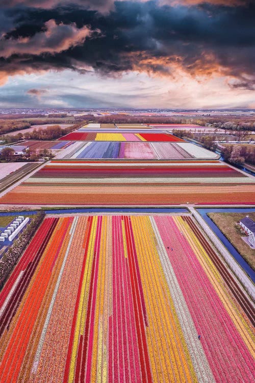 Infinity Fields Of Netherlands by Hobopeeba wall art