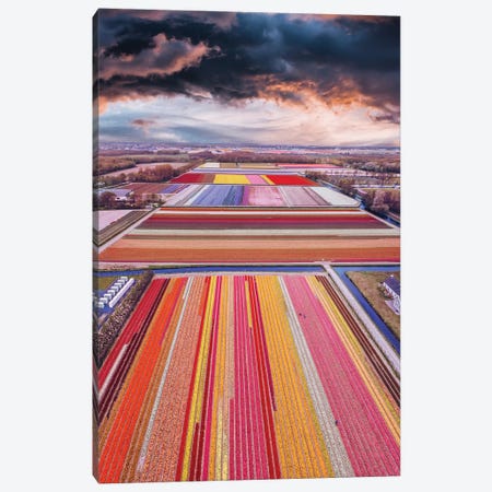 Infinity Fields Of Netherlands Canvas Print #MKV144} by Hobopeeba Canvas Art Print