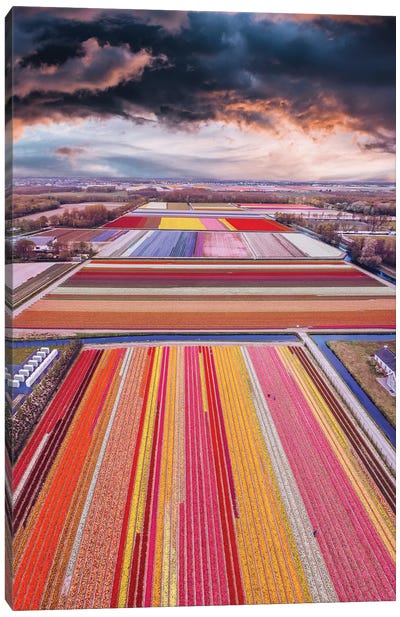 Infinity Fields Of Netherlands Canvas Art Print - Hobopeeba