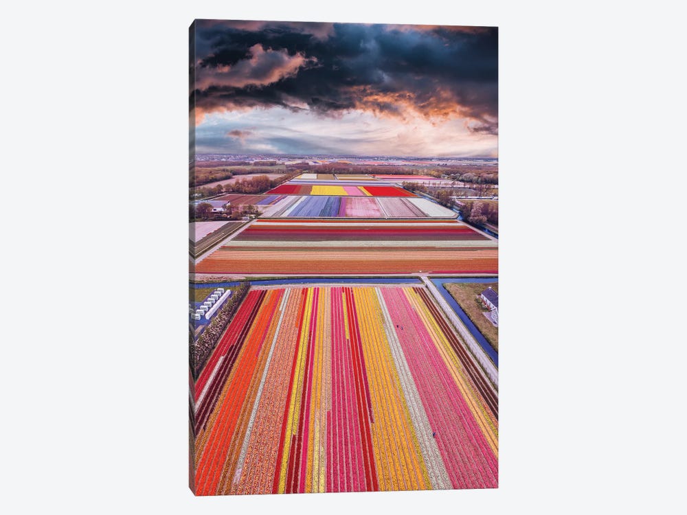 Infinity Fields Of Netherlands by Hobopeeba 1-piece Art Print