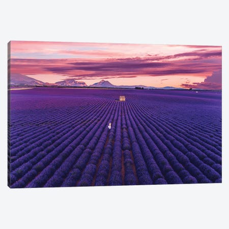Lavander Sunset Canvas Print #MKV147} by Hobopeeba Canvas Art Print