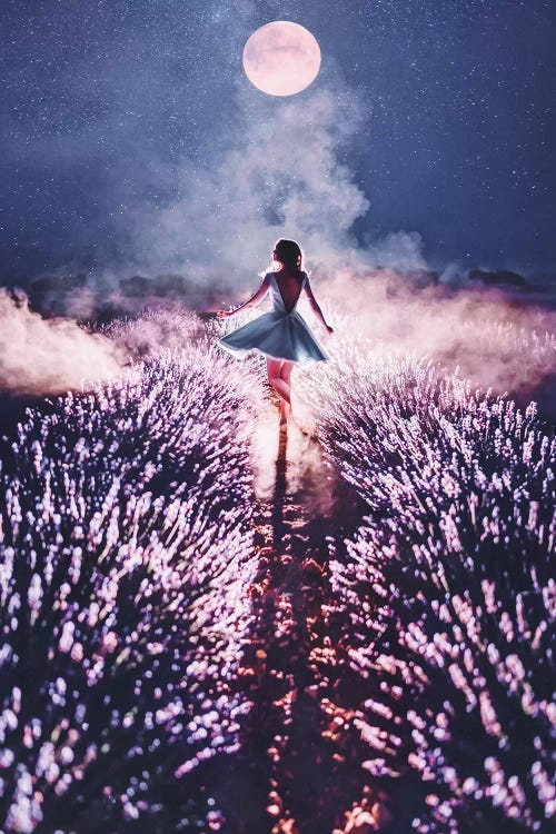 Magic Mood Dance by Hobopeeba wall art