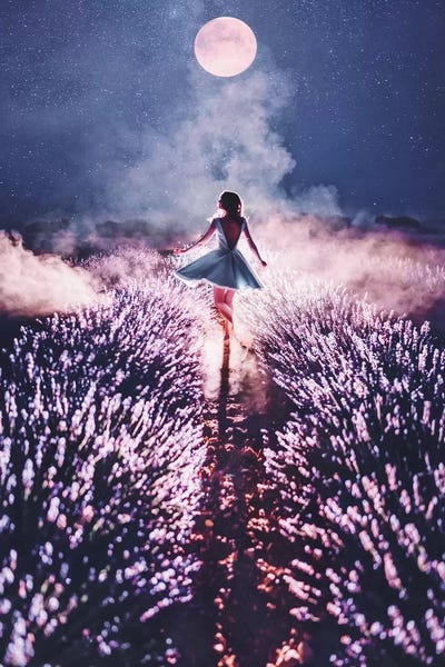 Hobopeeba: Magic Mood Dance by Hobopeeba
