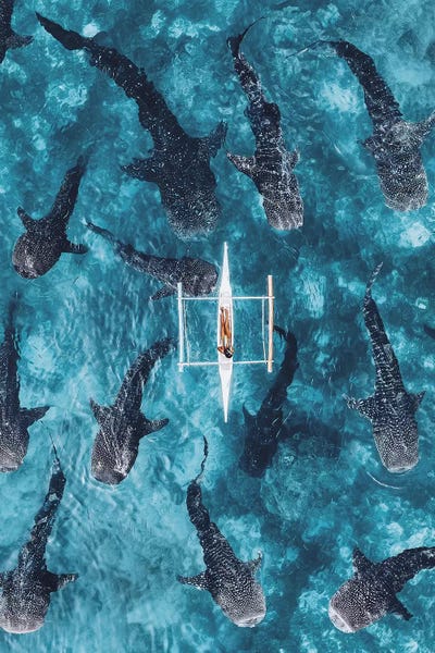 Women's Empowerment: My Own Cosmos by Hobopeeba