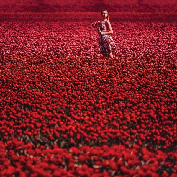 Hobopeeba: Red Sea Of Flowers by Hobopeeba