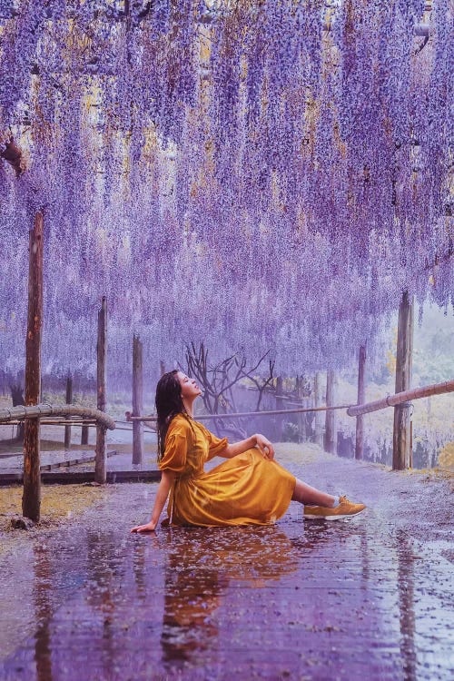This Rain Is Like Perfume With Wisteria Taste by Hobopeeba wall art