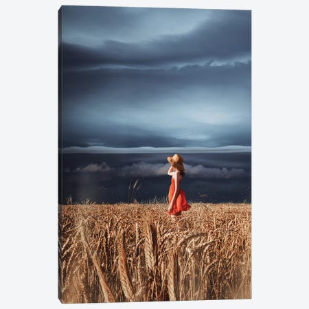 Wheat Fields And Thunderstorm Canvas Print #MKV157} by Hobopeeba Canvas Wall Art