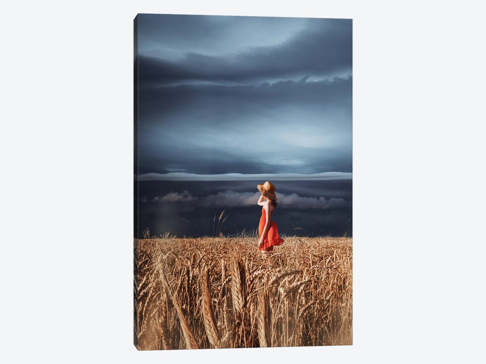 Wheat Fields And Thunderstorm by Hobopeeba 1-piece Canvas Art Print