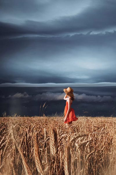 Fashion Photography: Wheat Fields And Thunderstorm by Hobopeeba